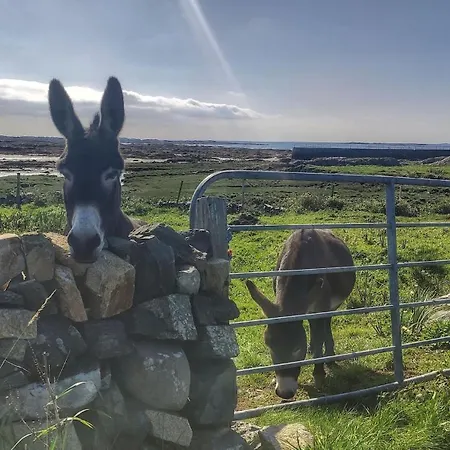 Holiday home White Heather - 5 Bedroom House Clifden